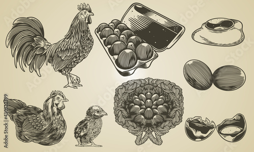 vector hand drawn vintage e...