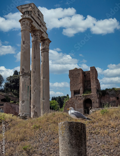 Rome Italy, ruins of Dioscouri columns and Domus Tiberiana under cloudy sky in the Roman Forum photo