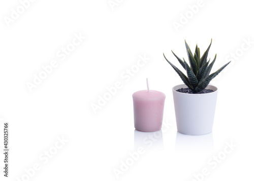 cactus in a pot and and pink rose candle on white background