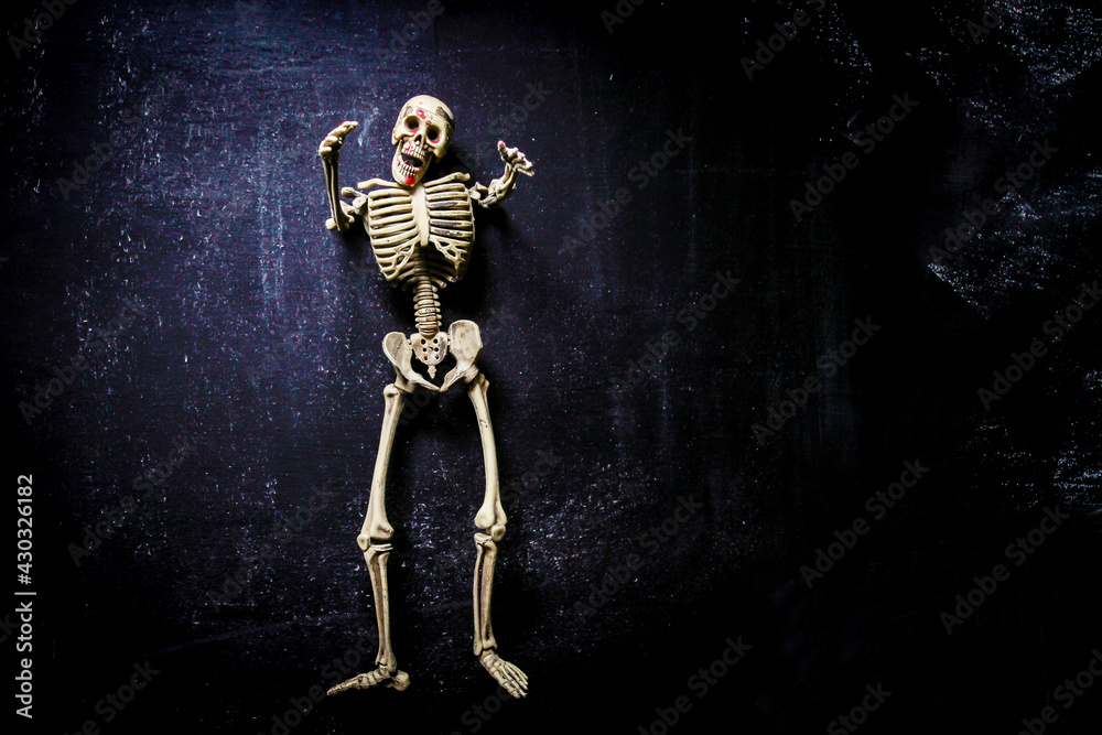 human skeleton isolated on black background. Skeletons pose human skeleton isolated on black background. Skeletons pose