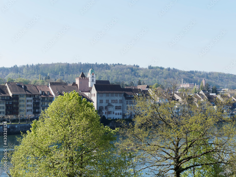 Au fil de l'eau. Le Rhin et la riche nature de ses berges entre la ville industrielle de Rheinfelden (Baden) en Allemagne et ville thermale de Rheinfelden (Argovie) en Suisse