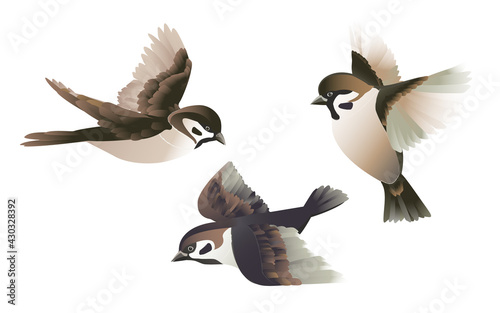 A flock of flying brown sparrows