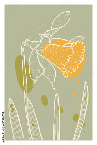 Abstract line art of daffodil flower with color splats. Daffodil contour drawing. Minimal flower illustration.