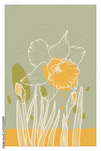 Abstract line art of daffodil flower with color splats. Daffodil contour drawing. Minimal flower illustration.