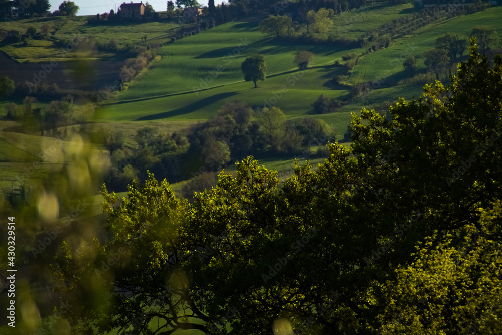 Obraz premium Panorama rurale marchigiano in primavera