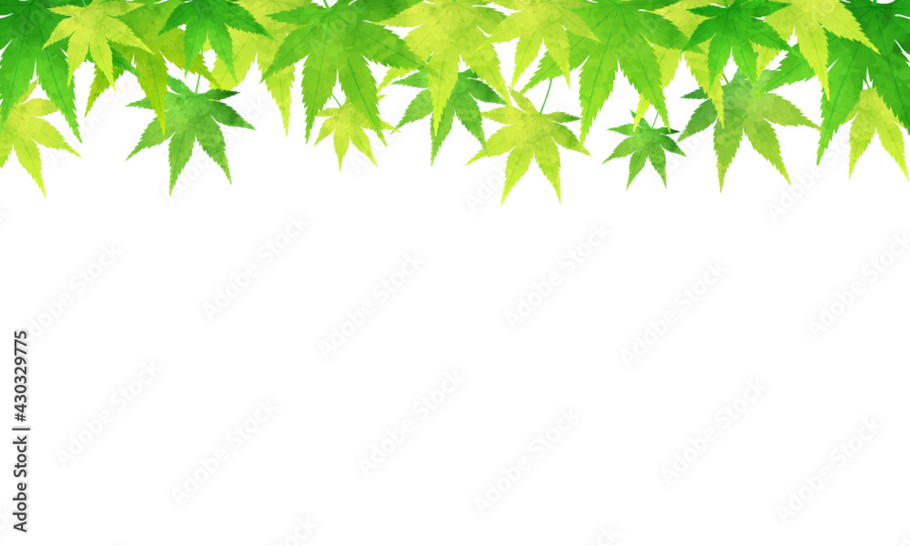 夏の緑の紅葉の爽やかな水彩風のベクターイラスト背景 Stock Vector Adobe Stock