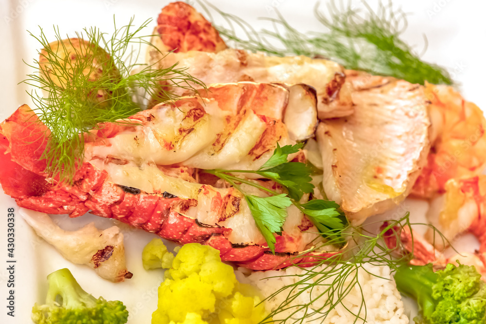 Poisson et langouste sur assiette Poisson et langouste sur assiette