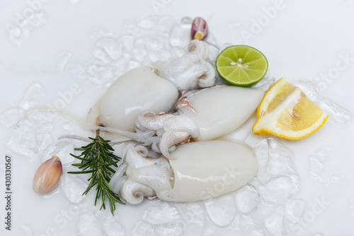 Seafood squid on ice for cooking food in the restaurant, Fresh raw octopus cuttlefish ocean gourmet with lemon and rosemary on white plate