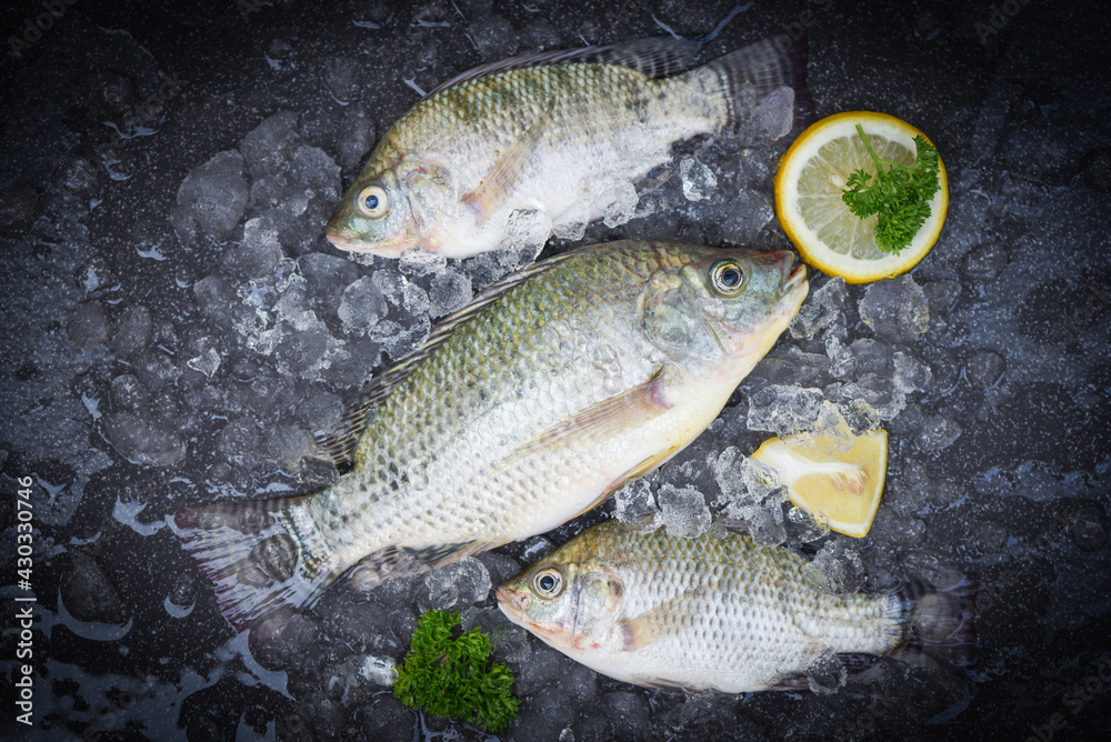 Tilapia fish freshwater for cooking food in the asian restaurant, Fresh
