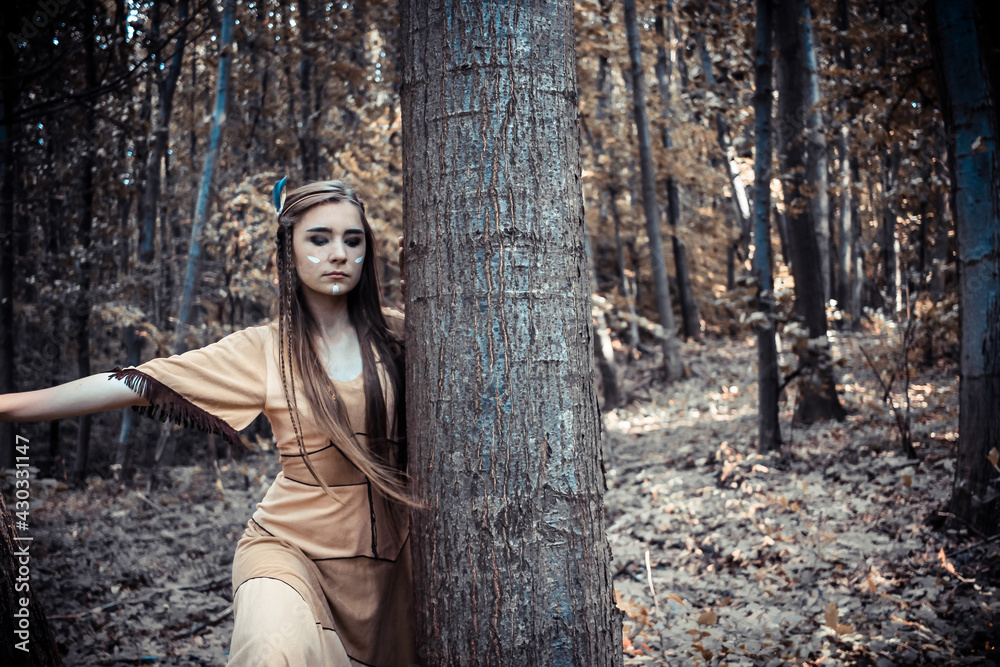 Confident, beautiful woman in a native american dress with face paint ...