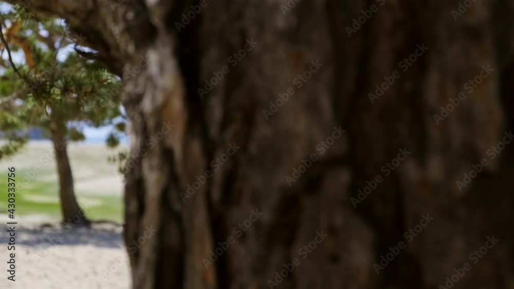Close-up of a girl swinging on a rope swing tied to a tree Close-up of a girl swinging on a rope swing tied to a tree