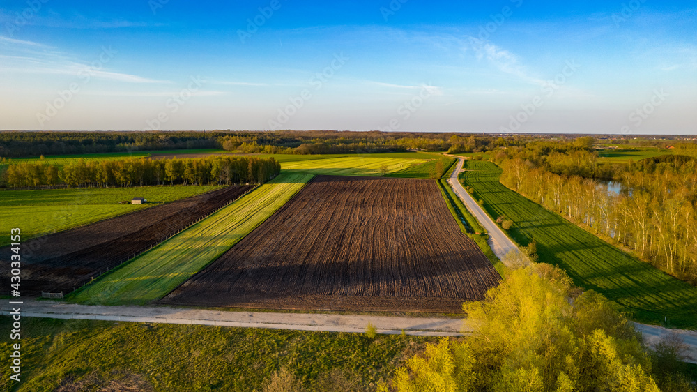 Fototapeta premium Aerial view with a drone of a spring wavy agricultural countryside landscape with plowed and unplowed fields and trees in the blue evening sky. High quality photo