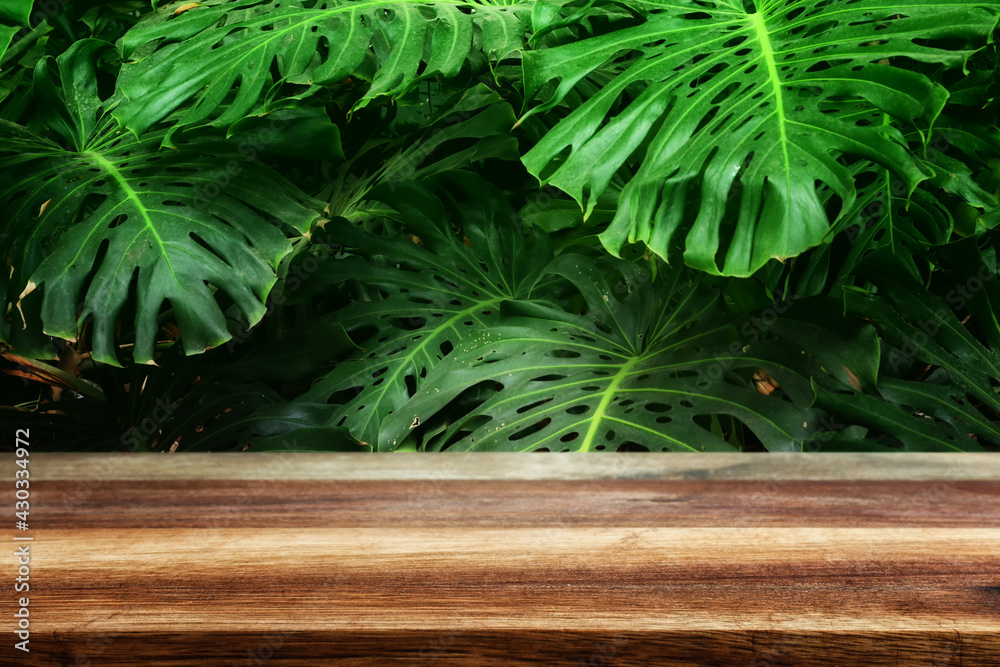 wooden table in front of tropical green Monstera leaves floral background. for product display and presentation