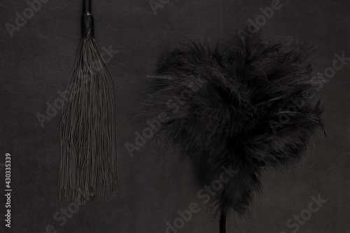 Canvas Print Kinky sex toys, whip and feather tickler.