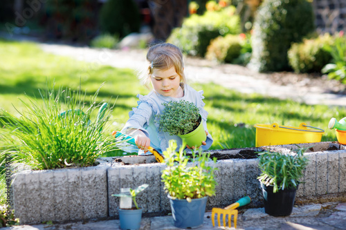 Adorable little toddler girl holding garden shovel with green plants seedling in hands. Cute child learn gardening, planting and cultivating vegetables herbs in domestic garden. Ecology, organic food. photo