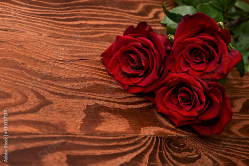 red rose on wooden background