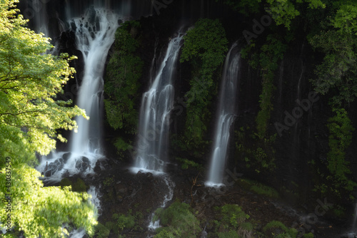 静岡　白糸の滝