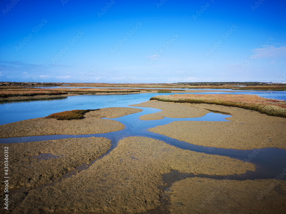 marismas azul