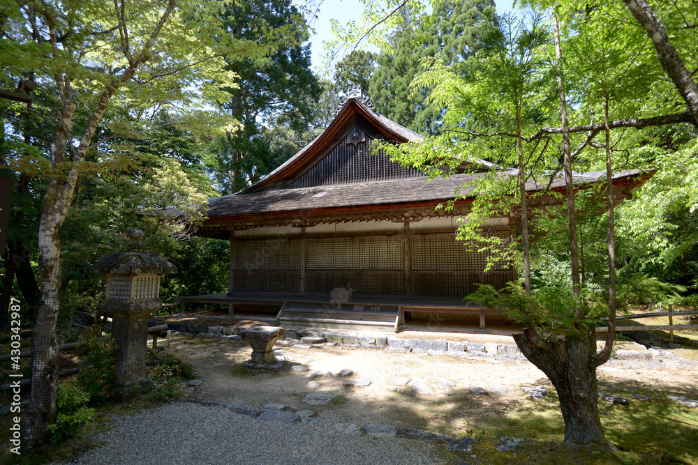 新緑の神護寺 大師堂 京都市高雄 新緑の神護寺 大師堂 京都市高雄