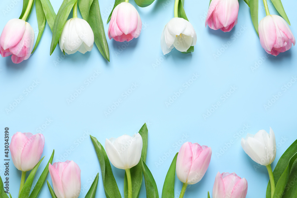 Beautiful pink spring tulips on light blue background, flat lay. Space for text Beautiful pink spring tulips on light blue background, flat lay. Space for text
