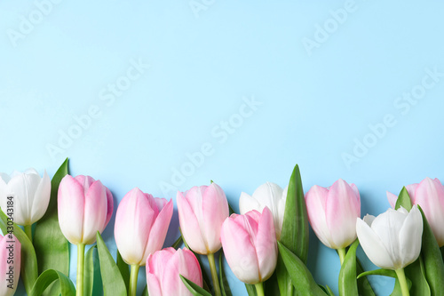 Fototapeta Naklejka Na Ścianę i Meble -  Beautiful pink spring tulips on light blue background, flat lay. Space for text
