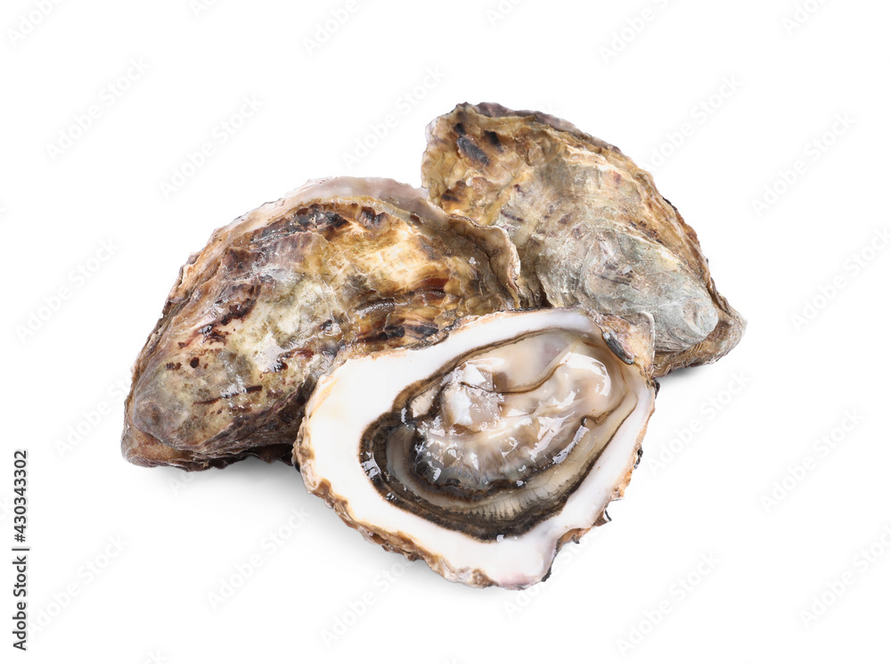 Fresh raw closed and open oysters on white background Fresh raw closed and open oysters on white background