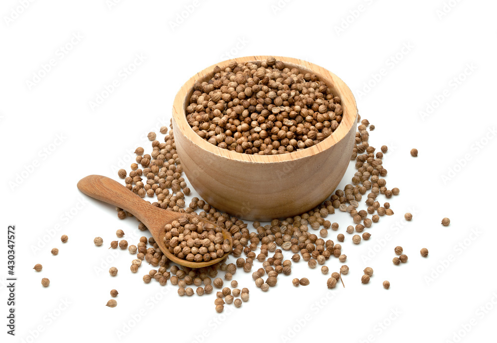 dried coriander seeds in bowl and wooden spoon isolated on white background dried coriander seeds in bowl and wooden spoon isolated on white background