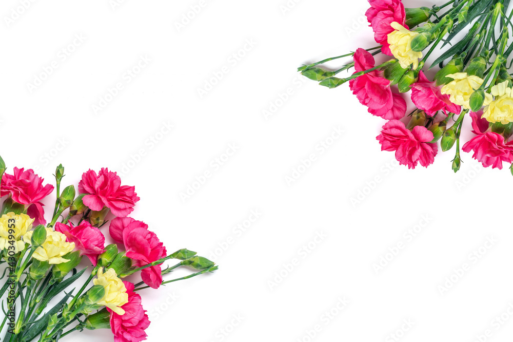 Fototapeta premium bouquet of pink, yellow carnation flower isolated on white background Top view Flat lay Holiday card 8 March, Happy Valentine's day, Mother's, Memorial, Teacher's day concept Copy space 