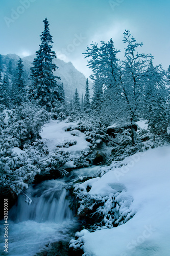 Cold winter snow landscape at river with trees and sky. Mountain forest on the banks of a frozen river. Fluffy pine trees in the snow. Winter mountain rivers and trees in the forest. Frozen river