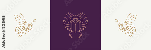 Magic flying sacred wasp and carab in boho linear style vector illustrations set.