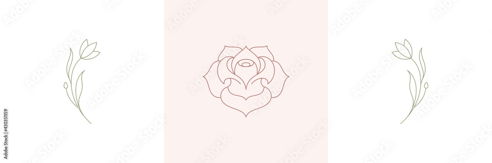 Rose tender natural blossom and twigs with blooming flower in boho linear style vector illustrations set. Rose tender natural blossom and twigs with blooming flower in boho linear style vector illustrations set.