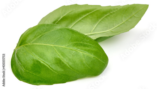 Fresh organic basil leaves, close-up, isolated on white background. High resolution image