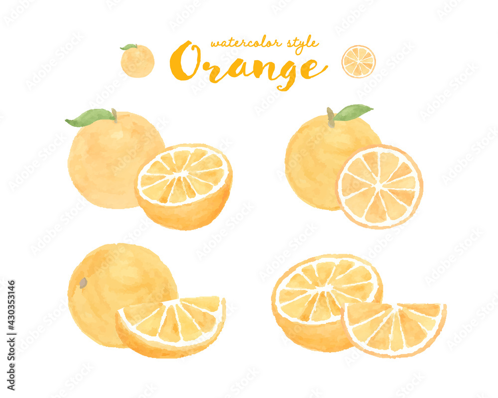オレンジの水彩イラストのセット 断面 みかん 果物 フルーツ 柑橘類 フレッシュ かわいい Stock Vector Adobe Stock