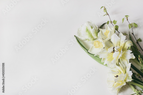 Feminine floral frame composition. Decorative web banner made of beautiful white and yellow tulips. Daffodils flowers with birch branches. White background. Empty space. Styled flat lay, top view.