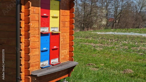 Honey bees flying into the colourful hive. Apiculture