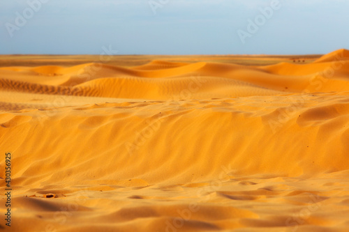 Sandy desert and blue sky in summer day © Shchipkova Elena