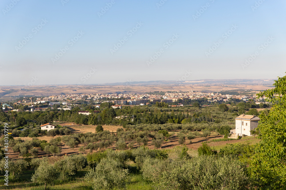 The city of Venosa in Basilicata seen from the top of a hill. the city lies flat on the slopes of a hill among trees and fields of the countryside