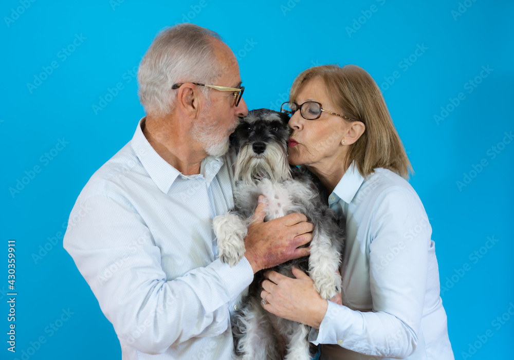 Affectionate happy relaxed senior couple caring their Schnauzer miniature Affectionate happy relaxed senior couple caring their Schnauzer miniature