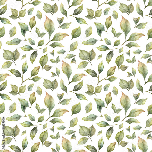 Seamless pattern with watercolor hand painted leaves. Botanical wallpaper