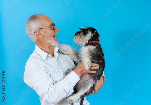 Senior man carrying cute Miniature schnauzer in his arms. Isolated on blue background