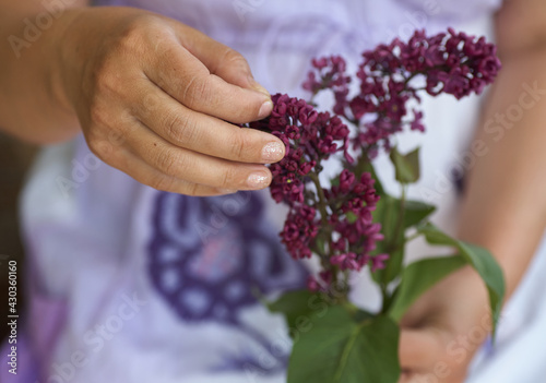 Woman holding bouquet of lillak in his hahd photo