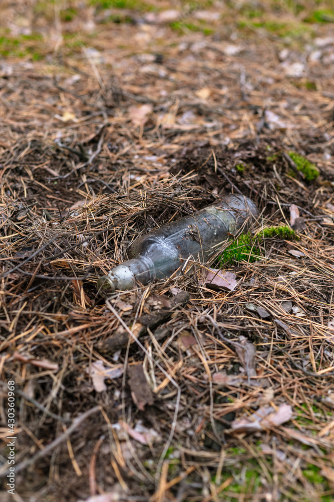 Obraz premium Glass bottle on the ground in a pine forest