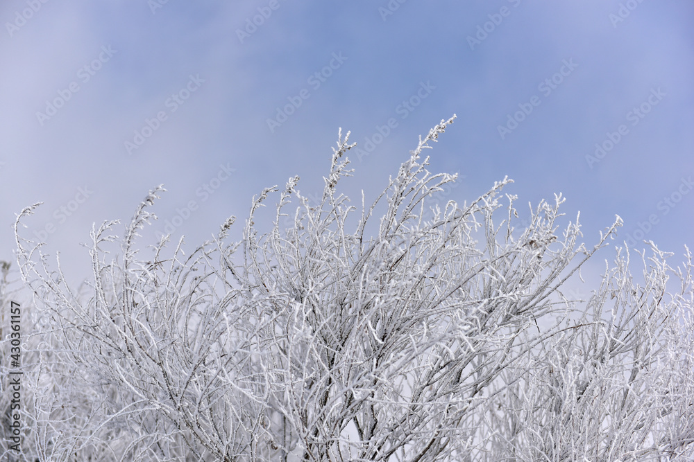 Winter snow-covered landscape of Taegisan Mountain, South Korea