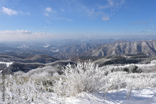 Winter snow-covered landscape of Taegisan Mountain, South Korea