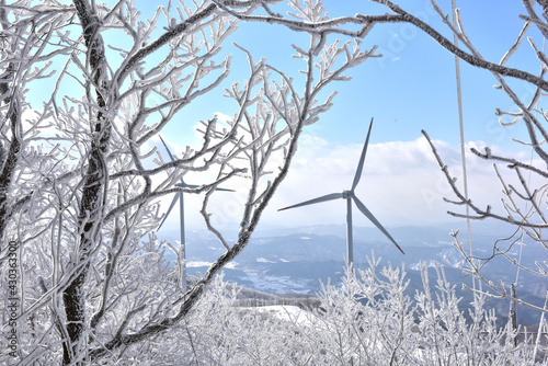 Winter snow-covered landscape of Taegisan Mountain, South Korea