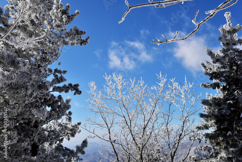 Winter snow-covered landscape of Taegisan Mountain, South Korea