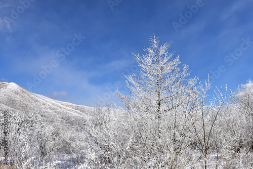 Winter snow-covered landscape of Taegisan Mountain, South Korea