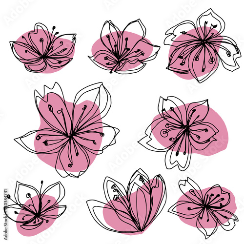 botanical floristic set contour flowers cherry sakura apple blossom open buds and closed. Vector isolated minimalistic pink and black flowers