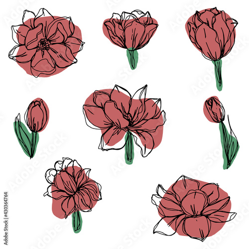 botanical floristic set contour flowers peonies, poppies and tulips open buds and closed. Vector isolated minimalistic terracotta flowers