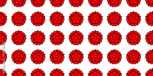 Tudoe rose of Englnd vector illustration.